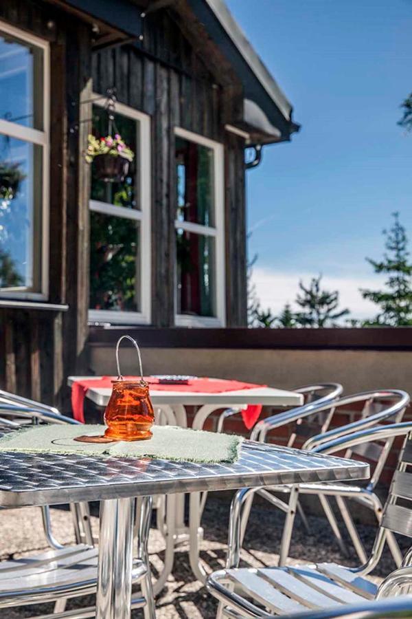 Pension Und Gaststaette Naturbaude Eschenhof Курорт Обервизенталь Экстерьер фото