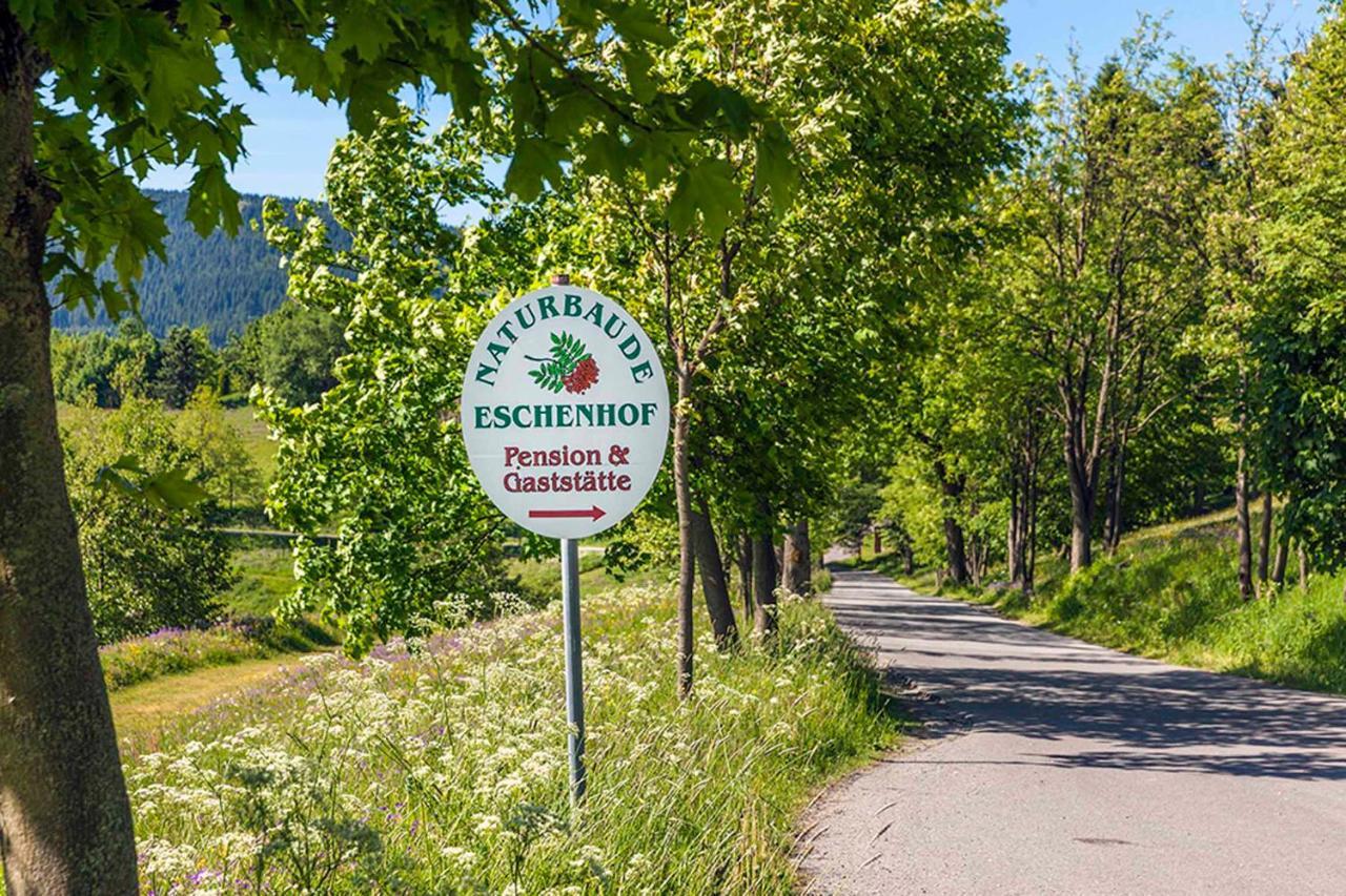 Pension Und Gaststaette Naturbaude Eschenhof Курорт Обервизенталь Экстерьер фото