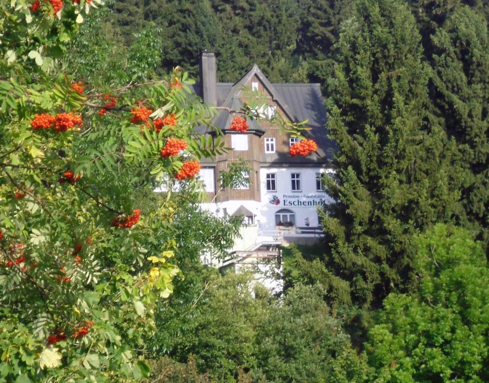 Pension Und Gaststaette Naturbaude Eschenhof Курорт Обервизенталь Экстерьер фото