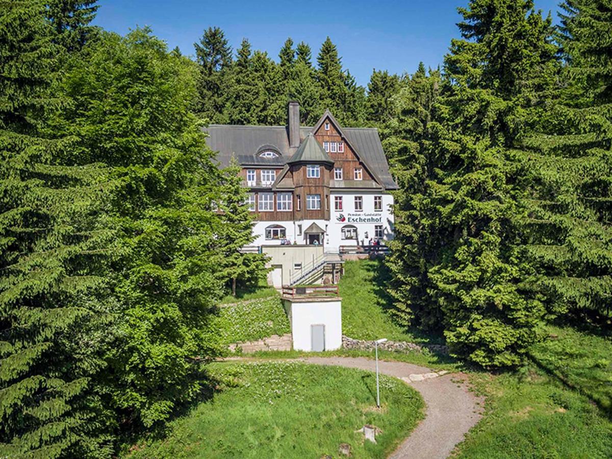 Pension Und Gaststaette Naturbaude Eschenhof Курорт Обервизенталь Экстерьер фото