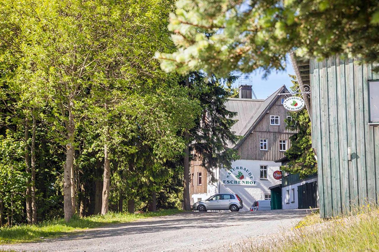 Pension Und Gaststaette Naturbaude Eschenhof Курорт Обервизенталь Экстерьер фото