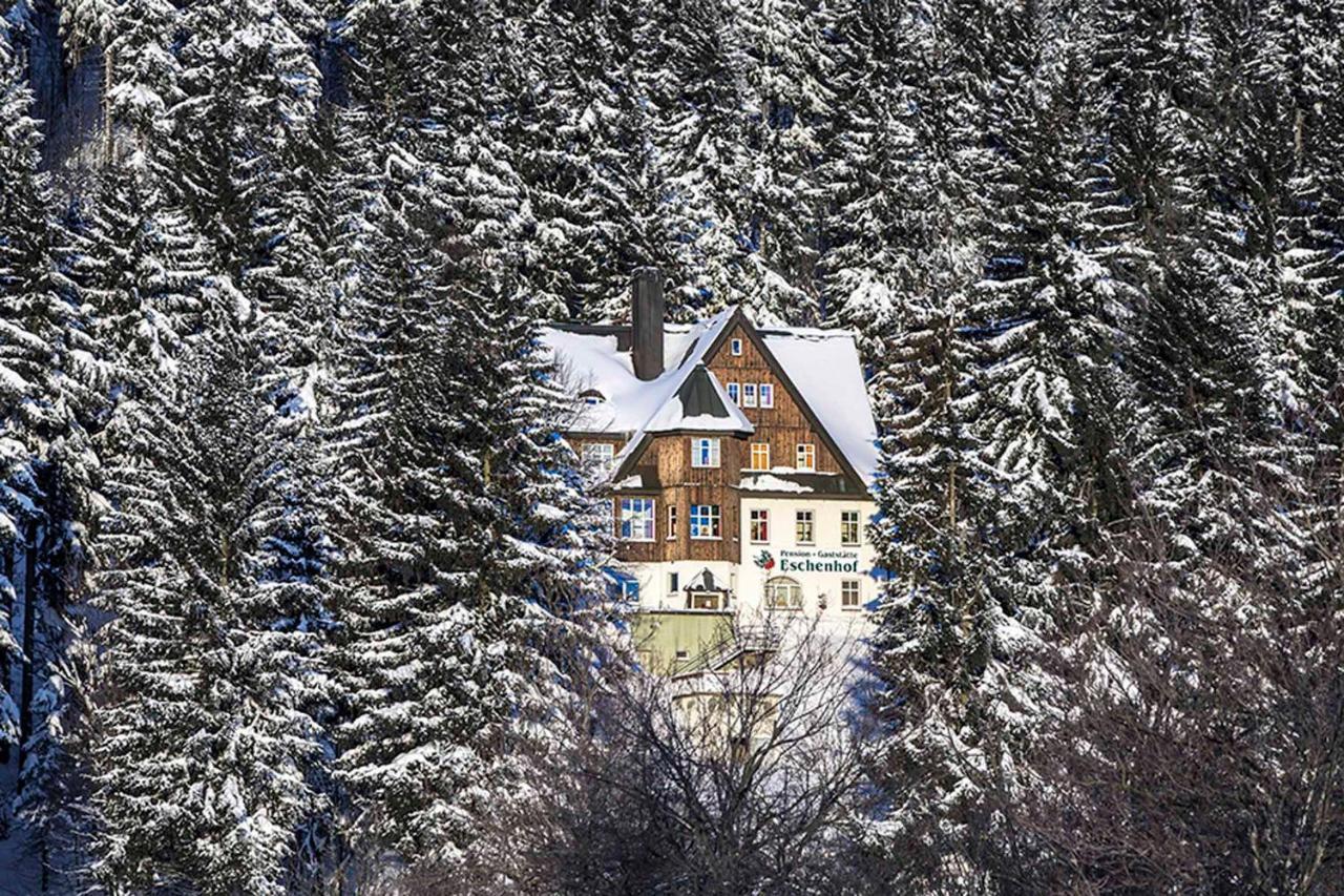 Pension Und Gaststaette Naturbaude Eschenhof Курорт Обервизенталь Экстерьер фото